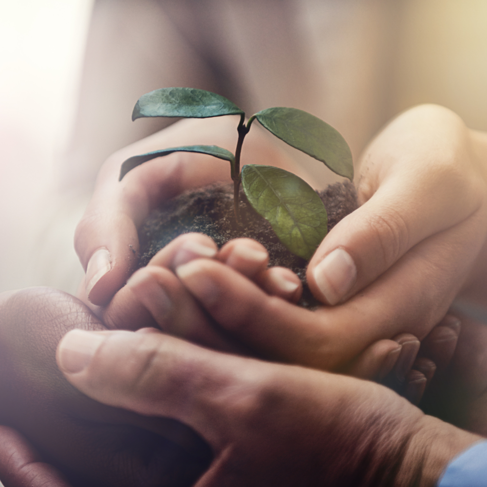 quality-lead-generation